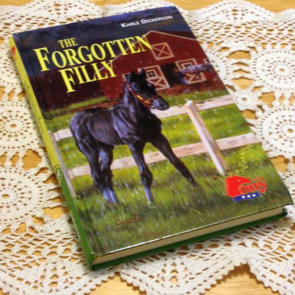 Book Sale! 3 for $10! Pony Book -  The Forgotten Filly, middle grade